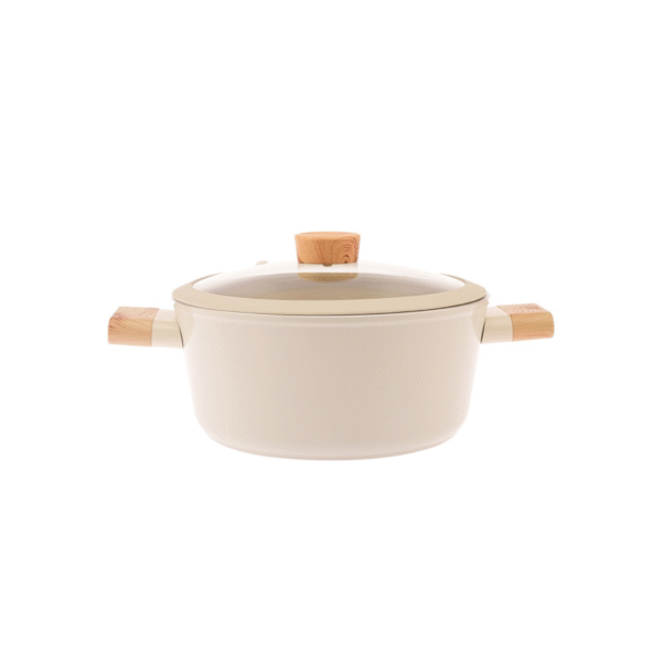 CASSEROLE 22CM