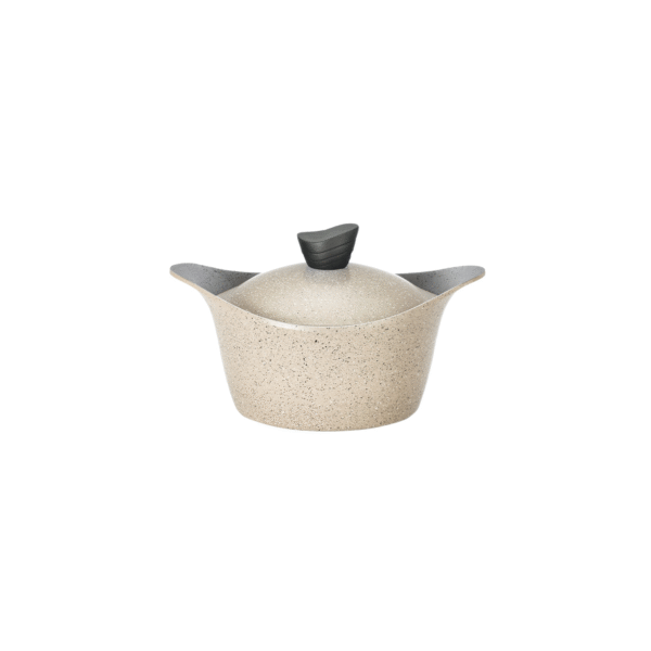 CASSEROLE 2.4L