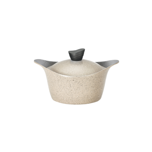 CASSEROLE 4.2L